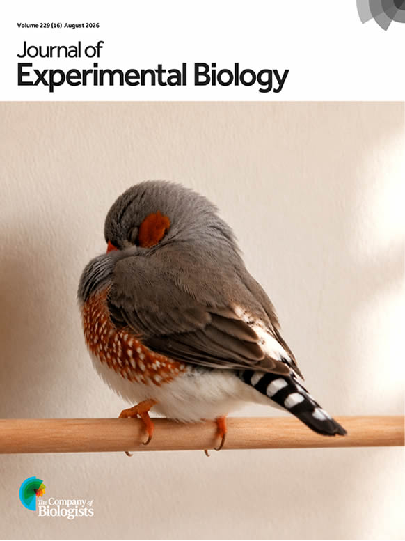 experimental-biology